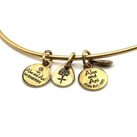 ALEX AND ANI Adjustable Copper Path of Life Charm Bracelet in Rafaelian Gold - Picture 2 of 4